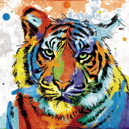 Picture of TIGER RAINBOW