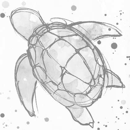 Picture of MINIMAL SKETCH TURTLE GREY