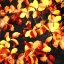 Picture of BUNCH OF LEAVES