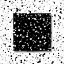 Picture of BLACK WHITE SPECKLES