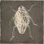 Picture of BUG LIFE ONE