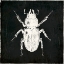 Picture of BUG LIFE FOUR BLACK