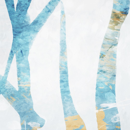 Picture of BIRCH BLUE MATE