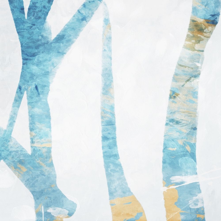 Picture of BIRCH BLUE MATE