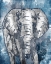 Picture of GREY BLUE ELEPHANT