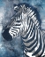 Picture of GREY BLUE ZEBRA