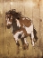 Picture of RUNNING HORSE