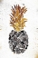 Picture of GOLDEN MANDALA PINEAPPLE