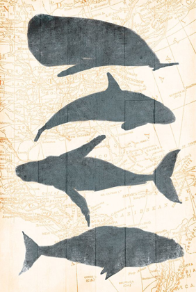 Picture of WHALE MAP