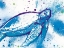 Picture of TURTLE IN THE WALL