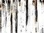 Picture of GOLD BLACK WOODS