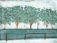 Picture of TREES AND FENCES