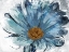 Picture of SKETCHED BLUE FLOWER