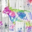 Picture of COW COLORFUL