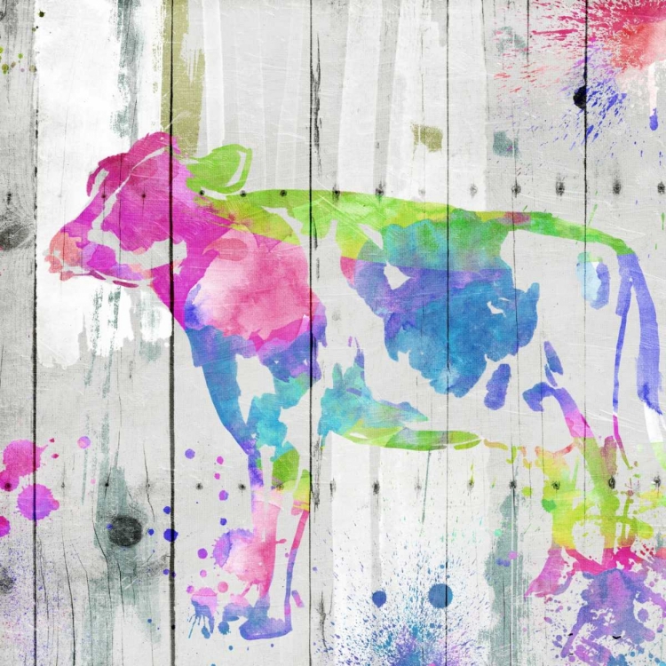 Picture of COW COLORFUL