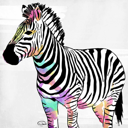 Picture of ZEBRA HEAD COLORFUL