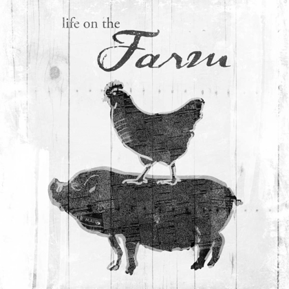 Picture of FARM TO CHICKEN AND PIG