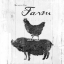 Picture of FARM TO CHICKEN AND PIG