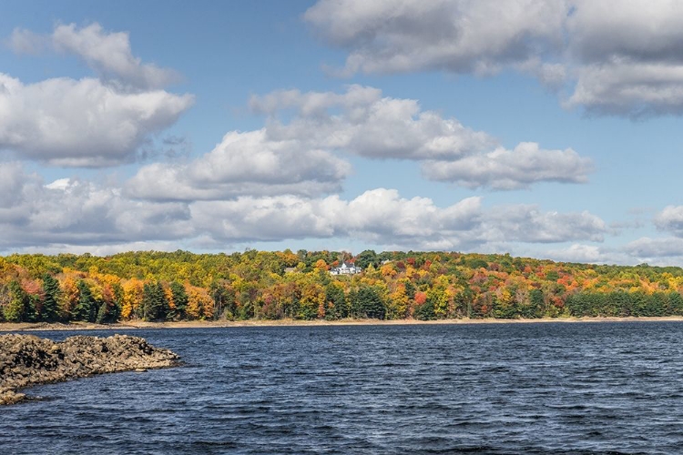 Picture of LAKE VIEW