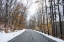 Picture of COLD LONG ROAD