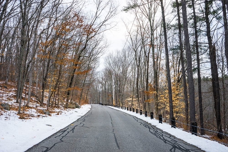 Picture of COLD LONG ROAD