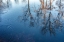 Picture of REFLECT ON ME