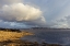 Picture of DRIFTER