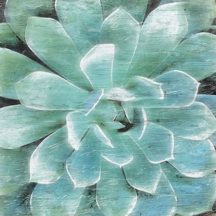 Picture of SUCCULENT MEMORY 1