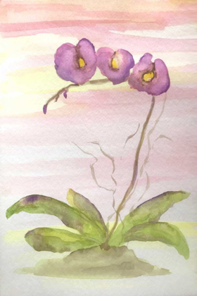 Picture of ORCHID TRIO 2