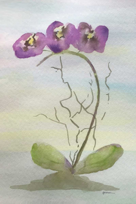 Picture of ORCHID DUO 2