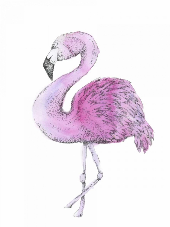 Picture of FLAMINGO