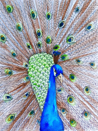 Picture of PEACOCK KING