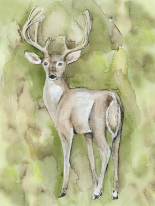 Picture of STERLING DEER