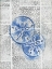 Picture of WRITTEN SAND DOLLARS