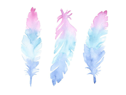 Picture of VIBRANT FEATHERS