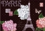 Picture of PARIS DOTS