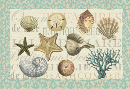 Picture of SEA SHELL COLLECTION