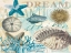 Picture of DREAM SHELLS R1