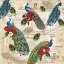 Picture of PEACOCKS PATTERN