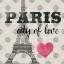 Picture of PARIS IN LOVE
