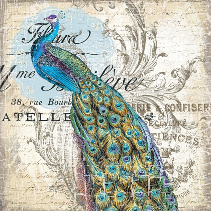 Picture of PEACOCK 1