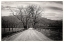 Picture of LESS TRAVELED