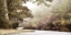 Picture of BLUE RIDGE PARKWAY