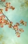 Picture of PINK PETALS 1