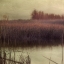 Picture of WETLANDS MARSH 1