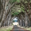 Picture of CYPRESS VIEW II