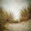 Picture of BEACH GRASSES 2