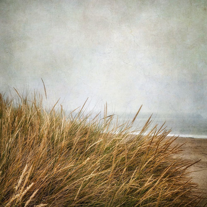 Picture of BEACH GRASSES 4