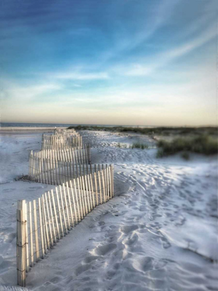 Picture of SAND FENCE
