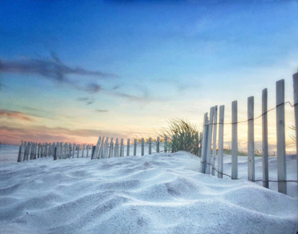 Picture of FENCED SUNSET